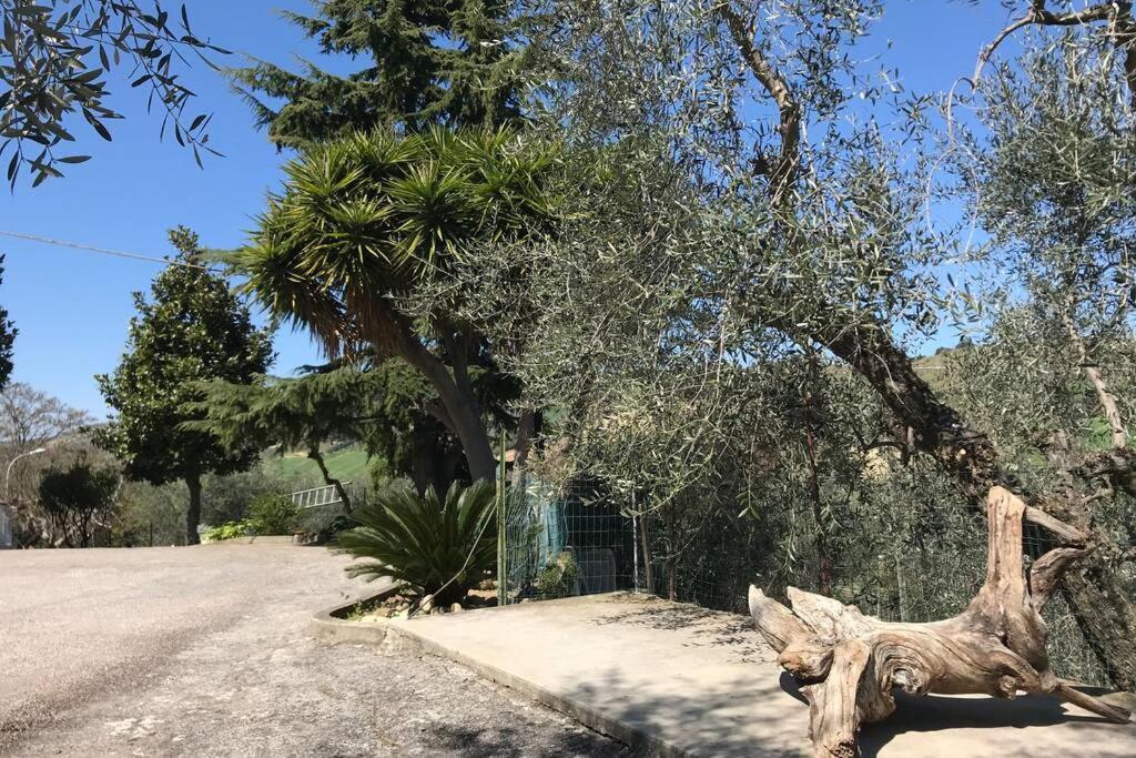 Apartmán Casa Lu Monaco Tranquillita A Due Passi Dal Mare Porto d'Ascoli Exteriér fotografie